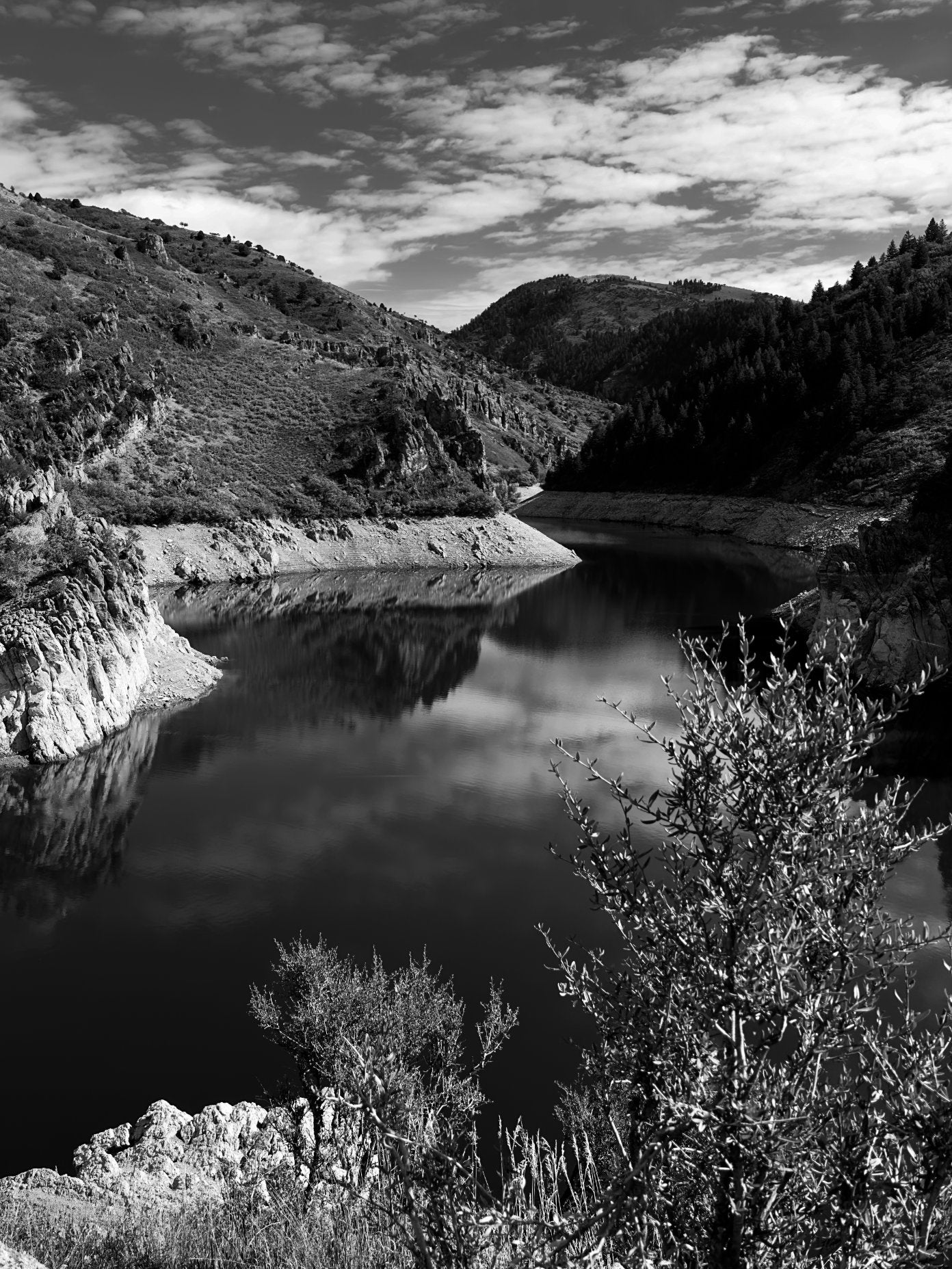 Causey Dam Digital Print